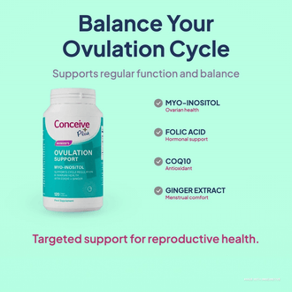Endometriosis and Fertility: A Complete Guide to Understanding the Connection and Your Path to Parenthood - Conceive Plus® Asia