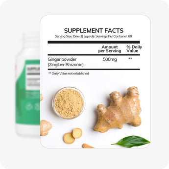 Conceive Plus Morning Sickness Relief supplement facts panel featuring 500mg of ginger powder (Zingiber Rhizome) per capsule, styled with fresh ginger root, ginger slices, and powdered ginger in a glass bowl on a white background to emphasize natural anti-nausea ingredients.