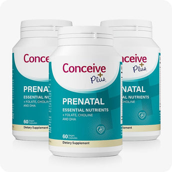 Conceive Plus Prenatal with DHA 3 bottles bundle showcasing front-facing labels on three 60-count containers, designed for extended prenatal use with essential nutrients including folate, choline, and DHA, arranged in a staggered row against a soft white background.