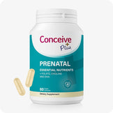 Conceive Plus Prenatal with DHA supplement bottle shown with teal and white label displaying "Essential Nutrients + Folate, Choline and DHA," alongside two beige vegan capsules on white background, designed to support women’s prenatal health with 60-count packaging.