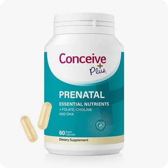 Conceive Plus Prenatal with DHA supplement bottle shown with teal and white label displaying "Essential Nutrients + Folate, Choline and DHA," alongside two beige vegan capsules on white background, designed to support women’s prenatal health with 60-count packaging.