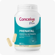 Conceive Plus Prenatal with DHA supplement bottle shown with teal and white label displaying "Essential Nutrients + Folate, Choline and DHA," alongside two beige vegan capsules on white background, designed to support women’s prenatal health with 60-count packaging.